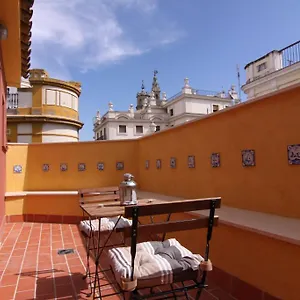 Living Catedral Sevilha